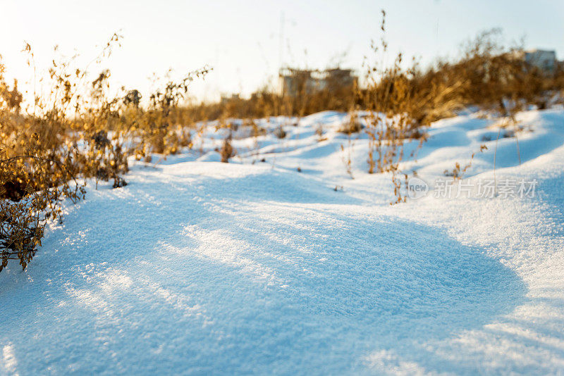 雪上的干草