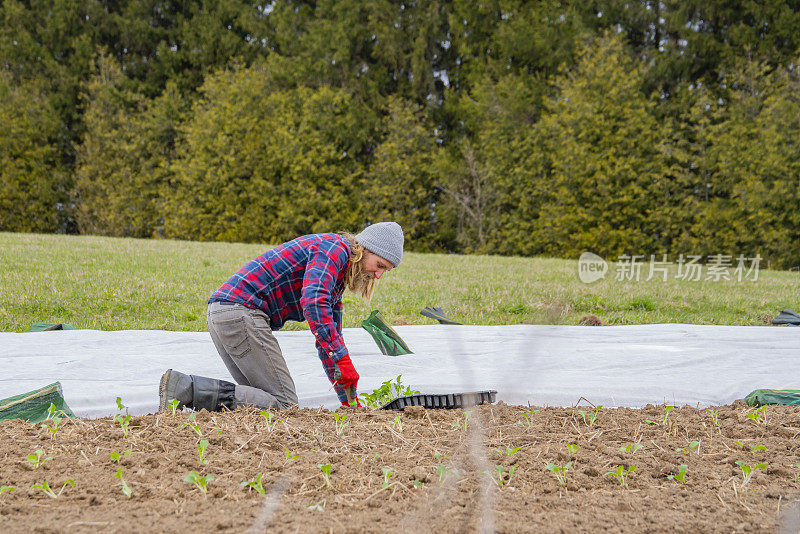 一名男性农民在小规模的社区共享农业项目中种植作物