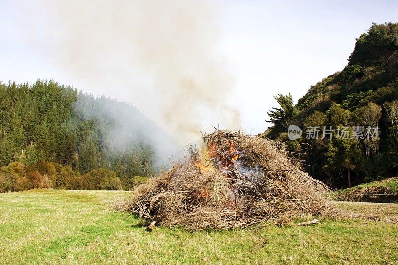 乡村场景中火被控制燃烧