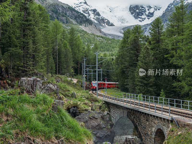 一列瑞士火车驶出冰川前的松树林