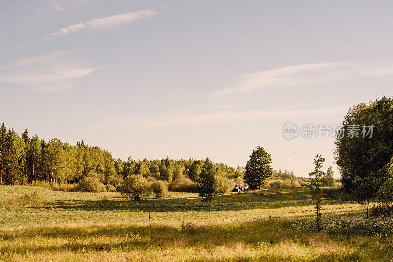 夏日阳光明媚的田野，户外景观