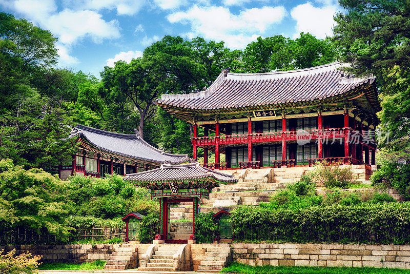 昌德宫的秘密花园。韩国首尔