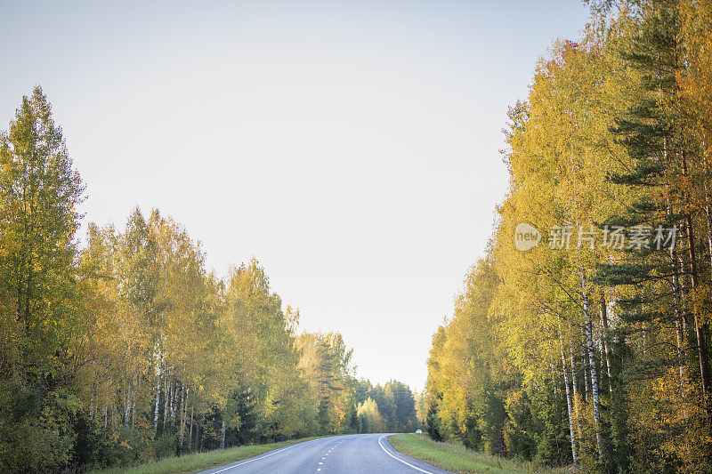 芬兰的秋天之路
