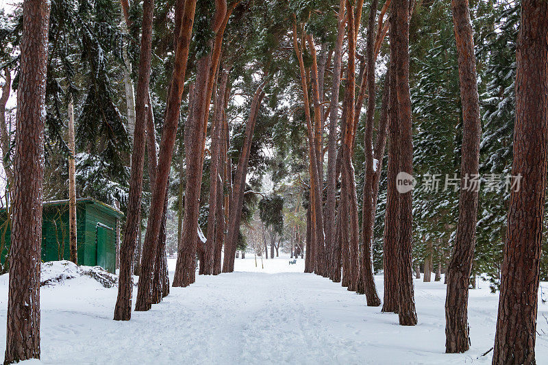 下雪天的灯塔山公园