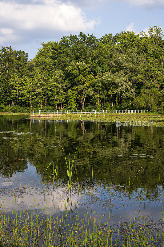 法国溪州立公园霍普威尔湖的夏日美景