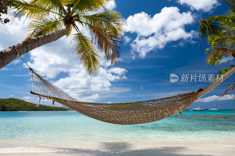 热带海滩上挂在棕榈树上的吊床