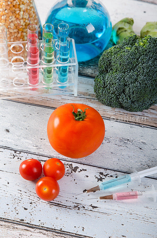 注射器和番茄。转基因食品概念