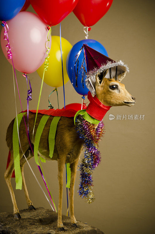 派对动物，羚羊与气球和横幅