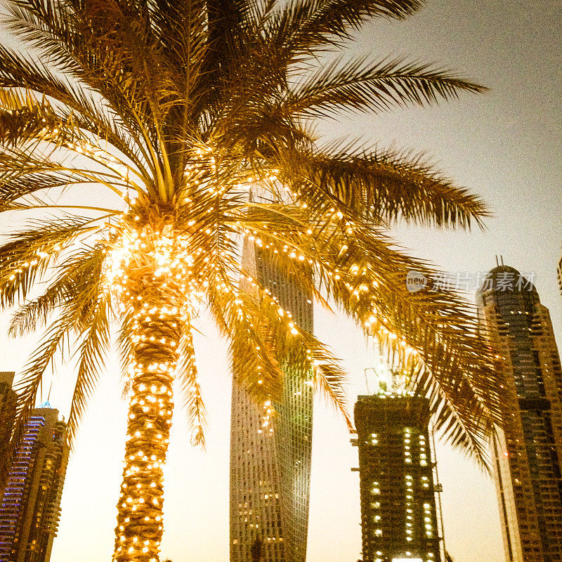 迪拜码头的天际线与发光的棕榈树