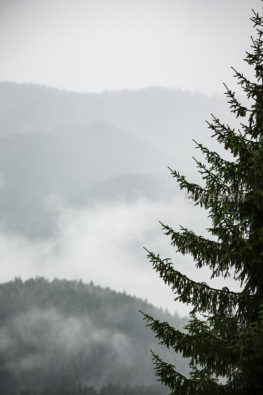 云中阿尔卑斯山山脉的全景