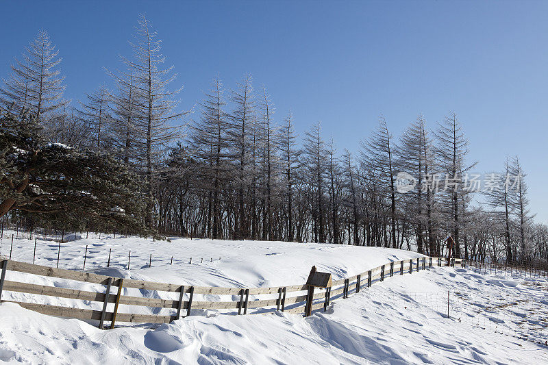 韩国平昌江原道的冬季景观。