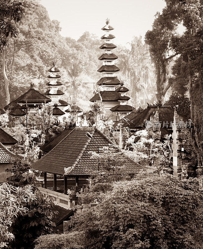 巴厘岛寺庙在丛林中黑白色调