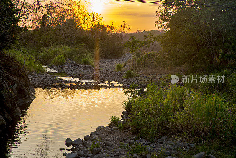 日落时分，树木间小溪的美景