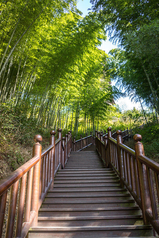 竹林中的木制台阶