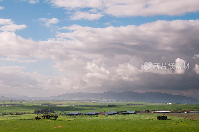 南非西开普省阴天里的农田