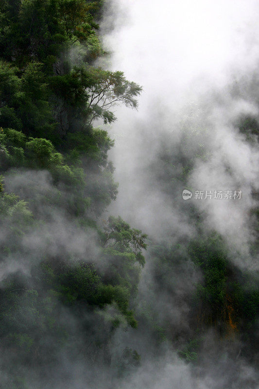 森林中的火山蒸汽