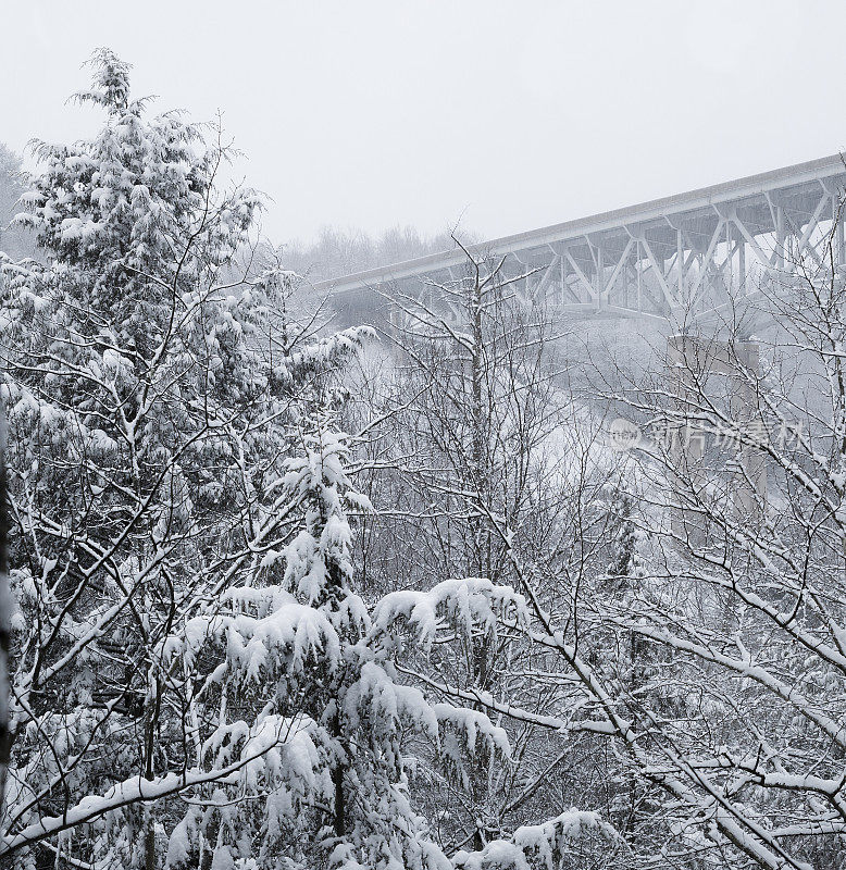 桥在雪下