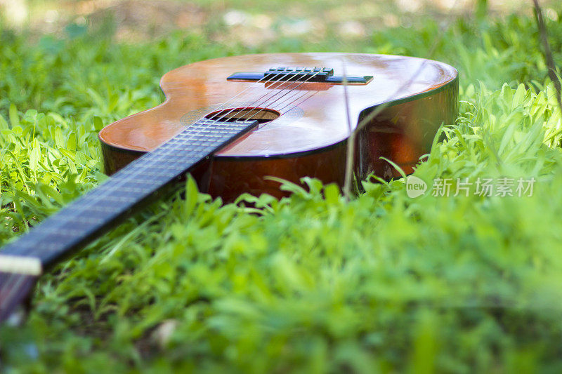 草地上的古典吉他