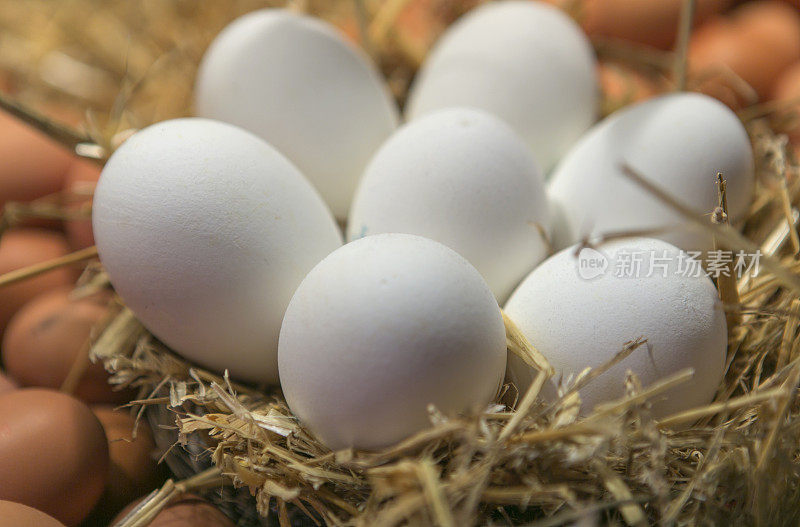 西班牙巴塞罗那boqueria市场上出售的鸡蛋