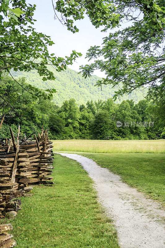 山间草地的徒步旅行路线