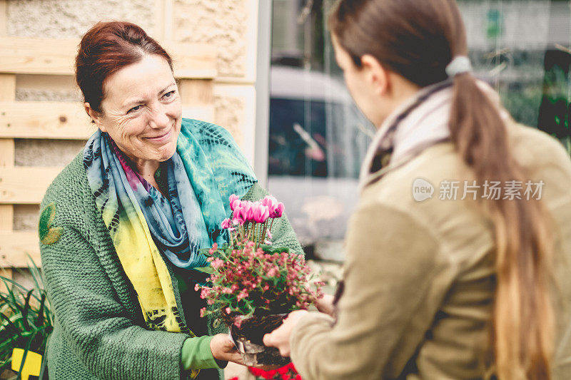 花店女人肖像