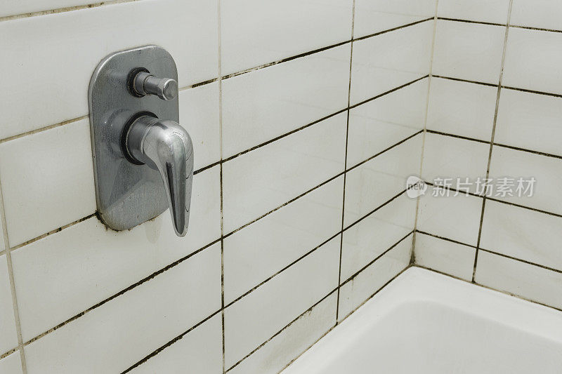 浴室污垢和霉菌在灌浆和瓷砖上