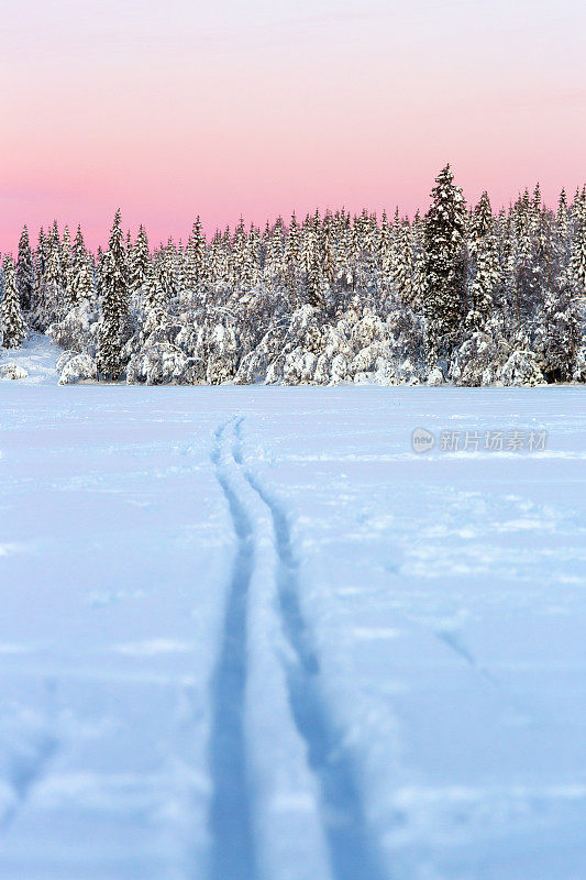 日落时分，挪威奥斯陆的滑雪道通向森林
