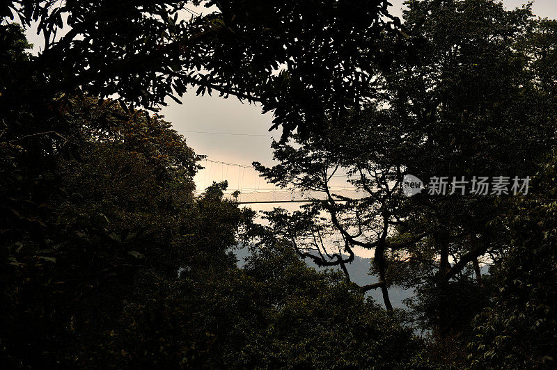 卢旺达:nyungwe雨棚步道