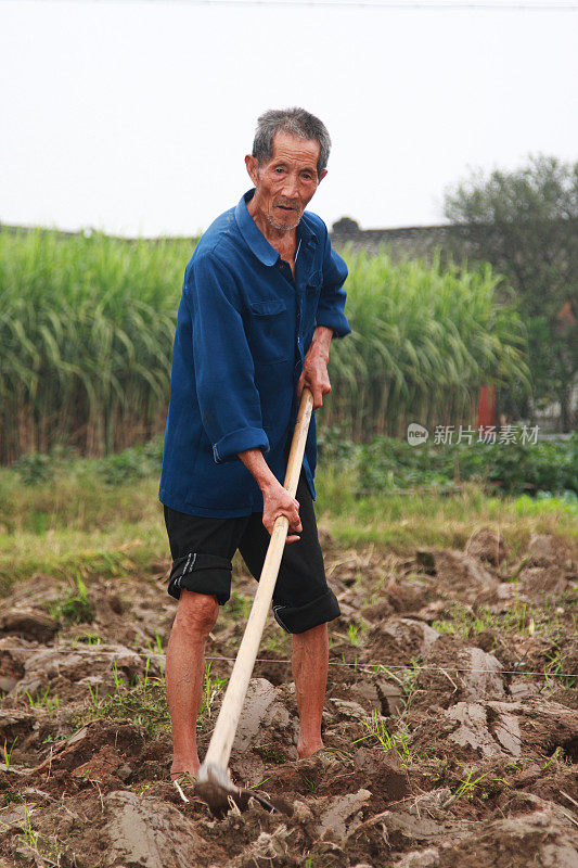 农场上的农民