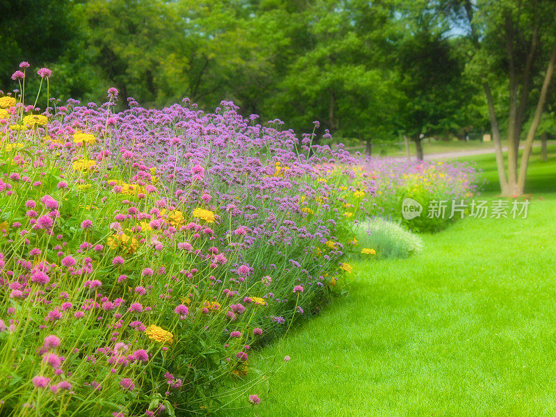 夏季花坛(HDR照片)