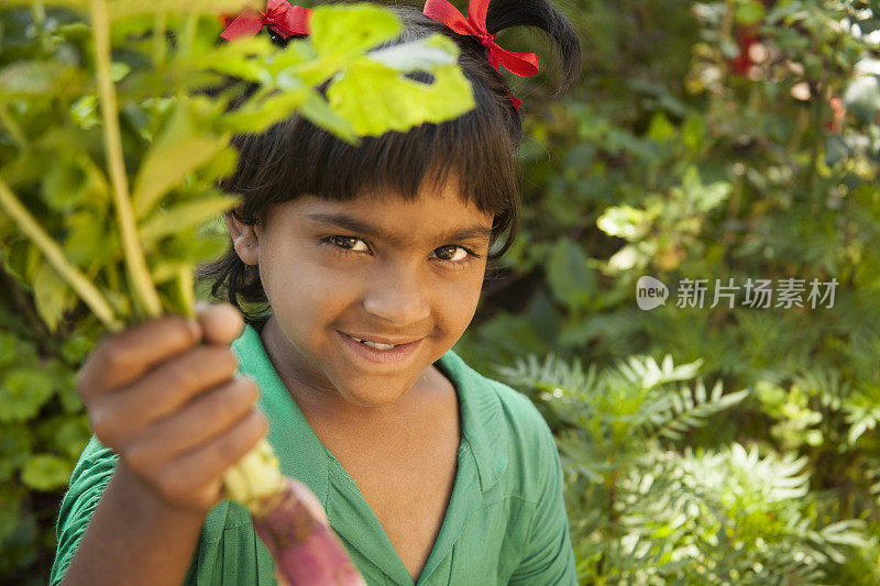 孩子自豪地在社区菜园里收获蔬菜。
