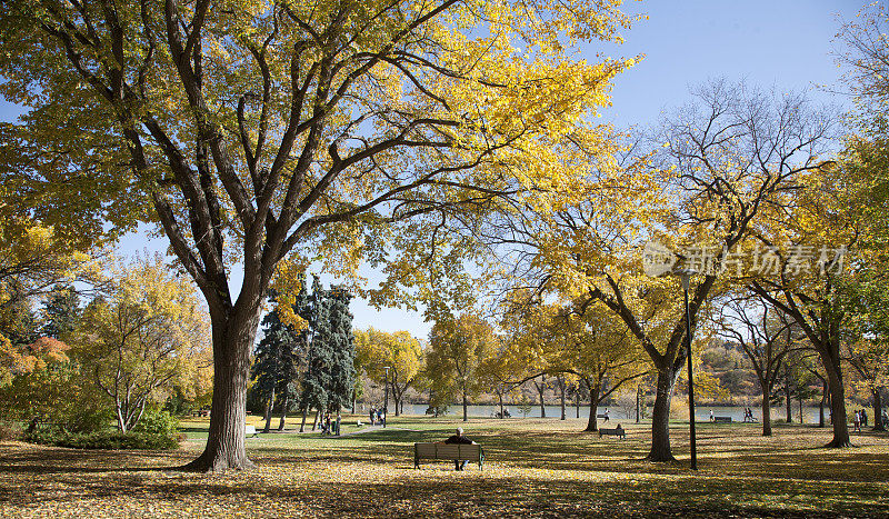 市中心萨斯卡通公园的秋天颜色。