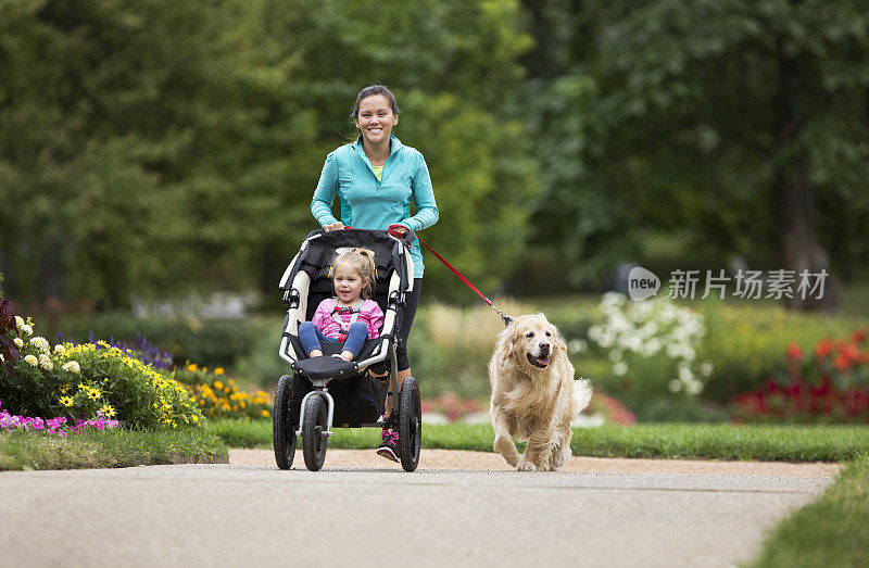 慢跑者与金毛猎犬和婴儿慢跑者在铺平的小径上。