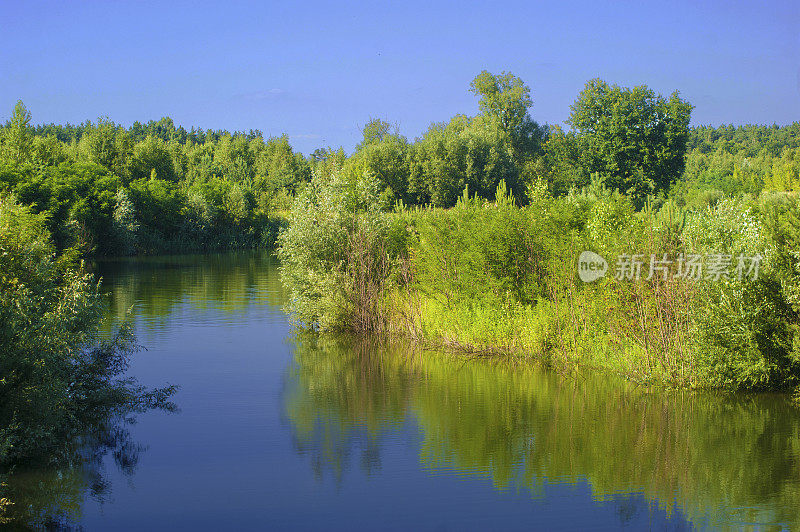 夏天的风景