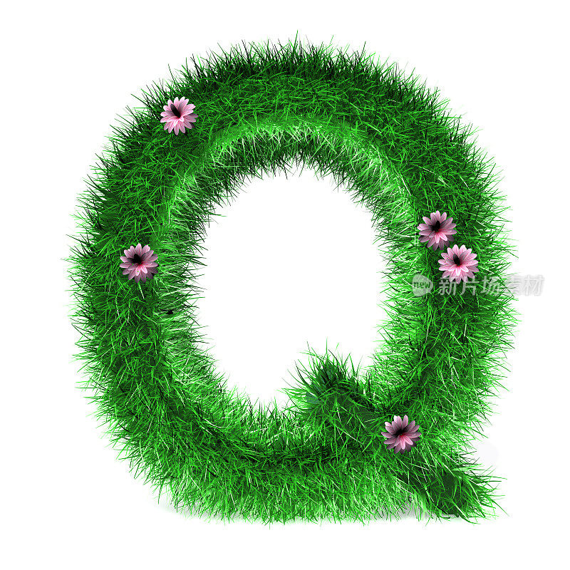 草与花的字母Q