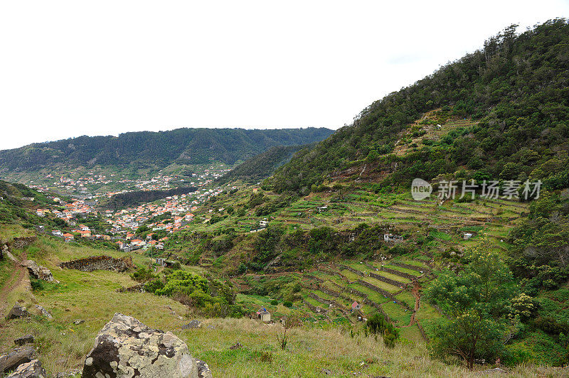 马契科在马德拉岛