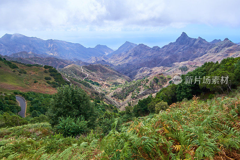 特纳利夫岛北部的风景