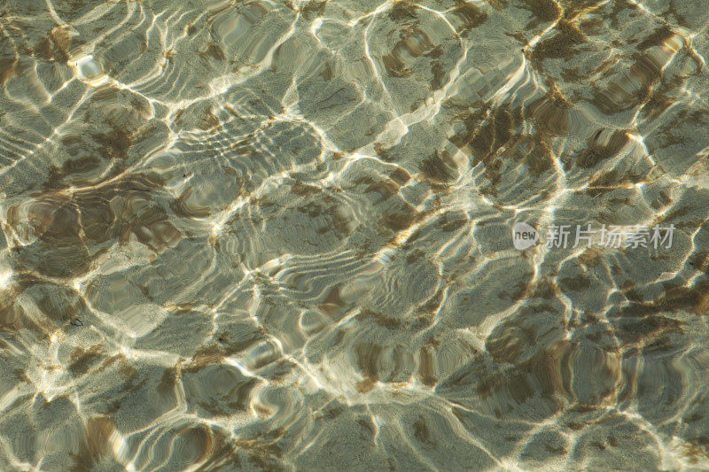 水在沙和海草上泛起涟漪。