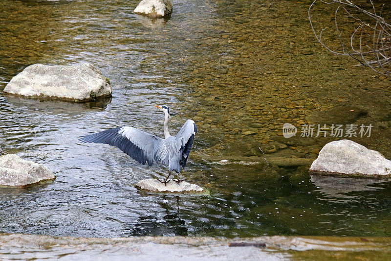 准备着陆