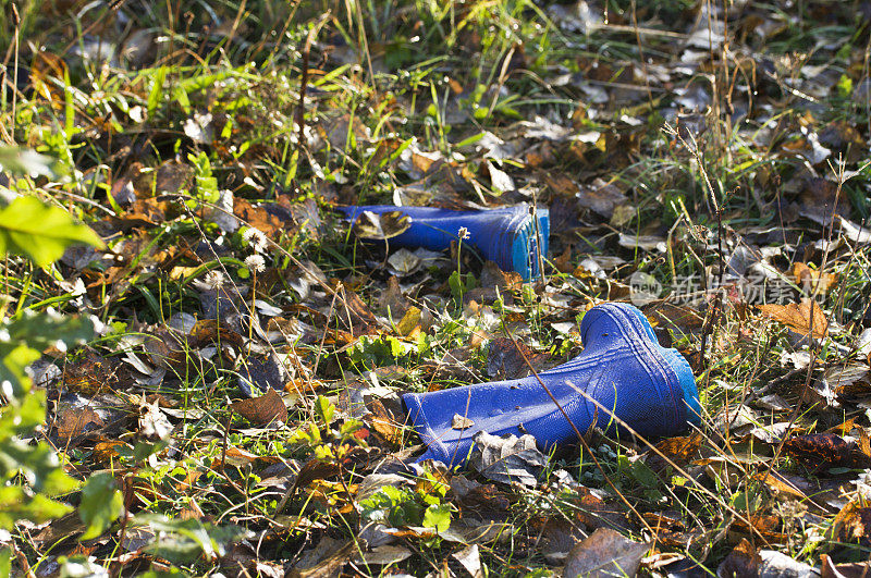 蓝色的胶靴留在了森林里。
