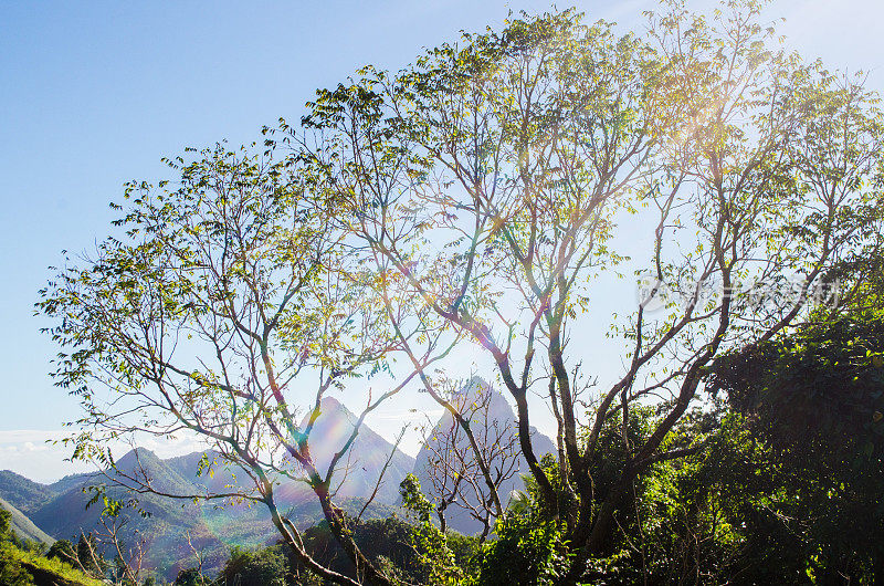 阳光明媚的山峰透过树木与彩色镜头光晕