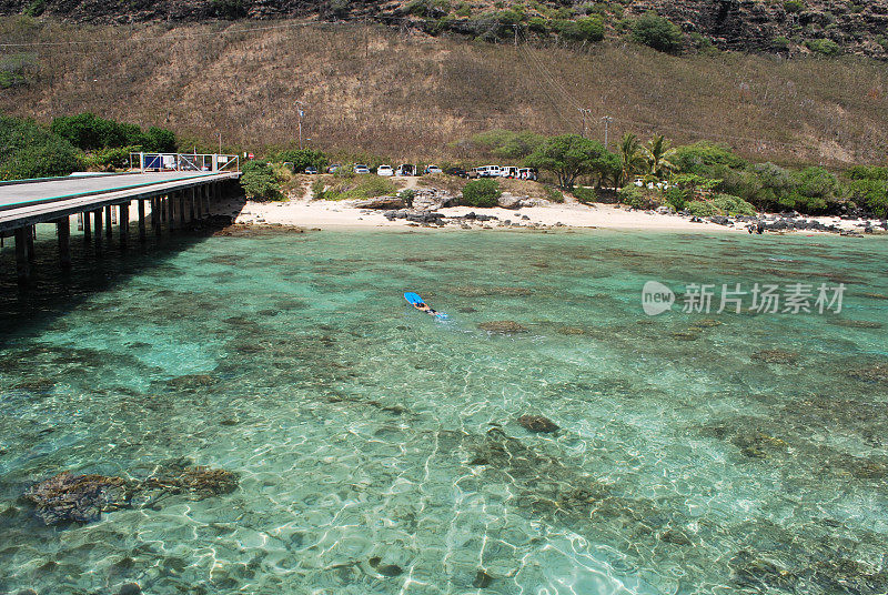 在瓦胡岛的水晶清澈水域浮潜