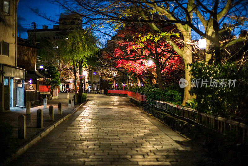 日本枫树在京都街头的夜晚