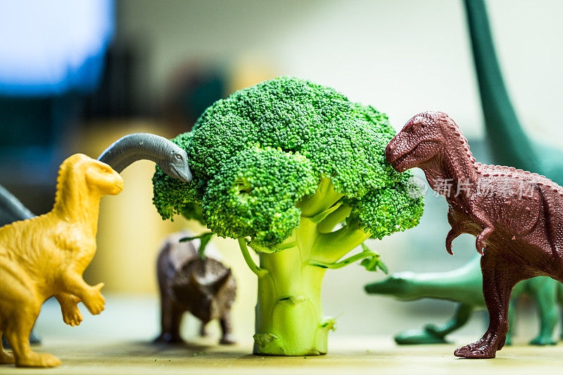 挑选玩具恐龙吃花椰菜