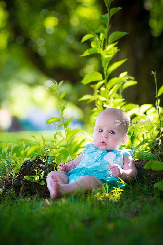 4个月大的女婴躺在树旁的草地上