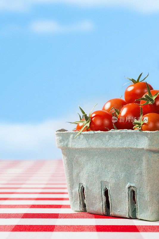 红白相间的桌布上，刚摘下来的樱桃番茄