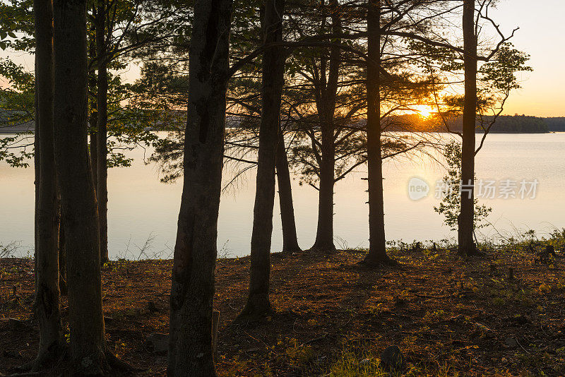 风景卡茨基尔山日落湖通过树木自然风景