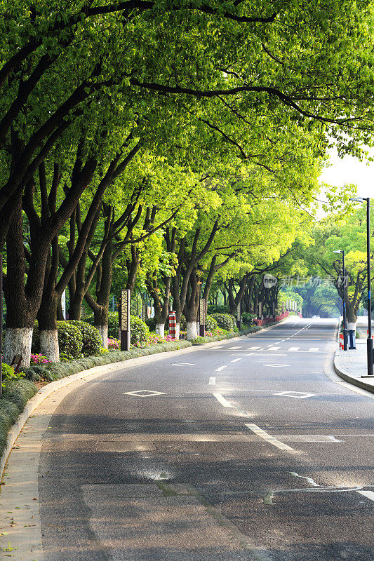 通往中国远郊的弯弯曲曲的道路