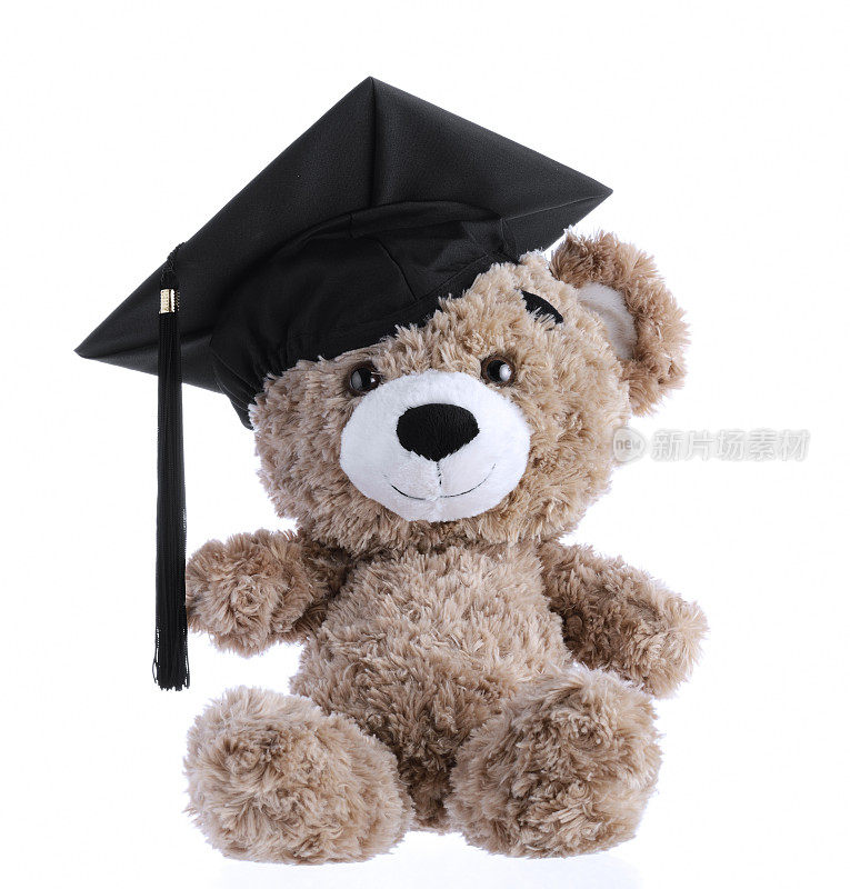 毕业熊。