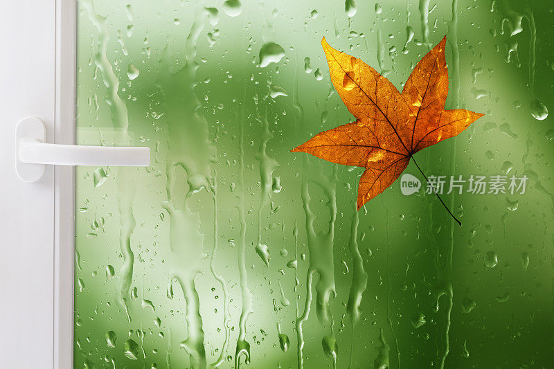 枫叶之窗，雨滴之窗